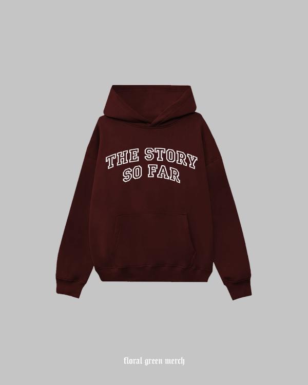 Producto - The Story so Far - buzo
