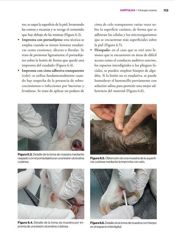 Producto - Verde: Diagnósticos Dermatológicos Canino y Felino - 4