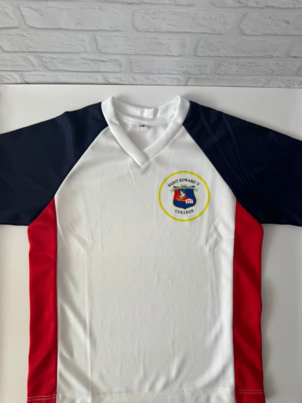 Producto - Remera Deportiva Tricolor