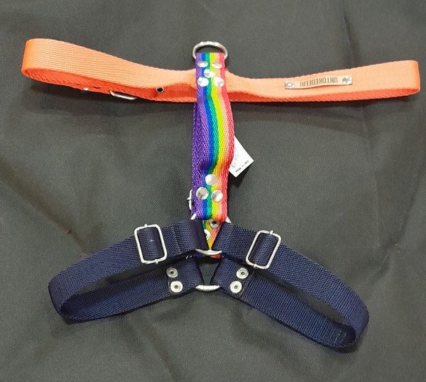 Producto - PRETAL H 2.5CM c/ CORREA