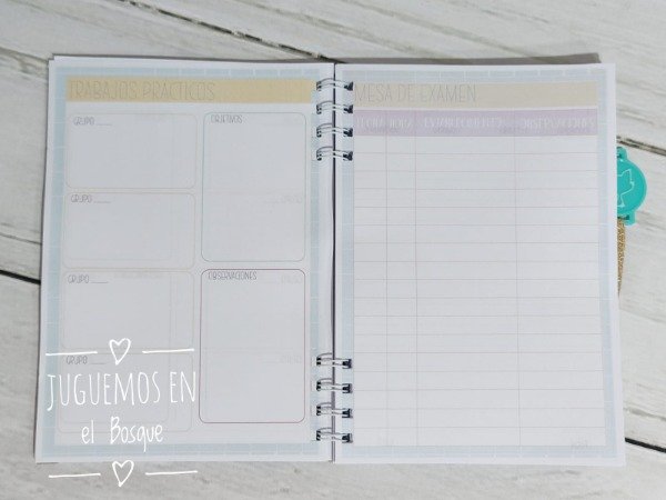 Producto - Docente