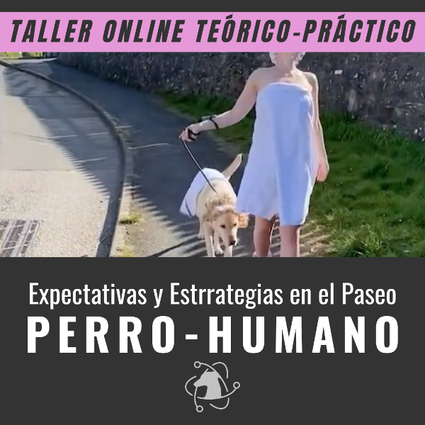 Producto - Taller Expectativas y Estrategias en el Paseo perro humano
