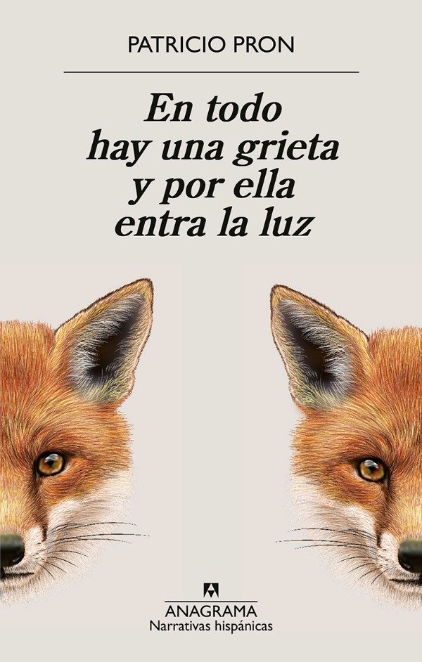 Producto - En todo hay una grieta y por ella entra la luz - Patricio Pron - Anagrama