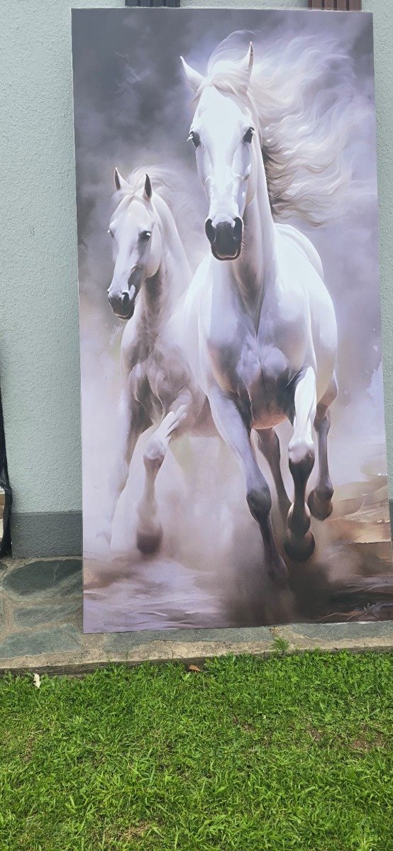 Producto - Placa decorativa PVC 3mm 244x122 diseño dos caballos blancos corriendo