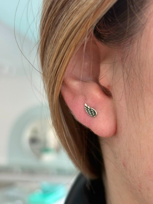 Producto - Aros Alas - 1