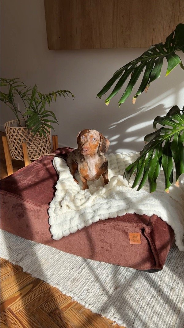 Producto - Manta Soft Natural