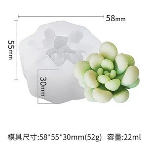 Producto - Suculenta 1N5