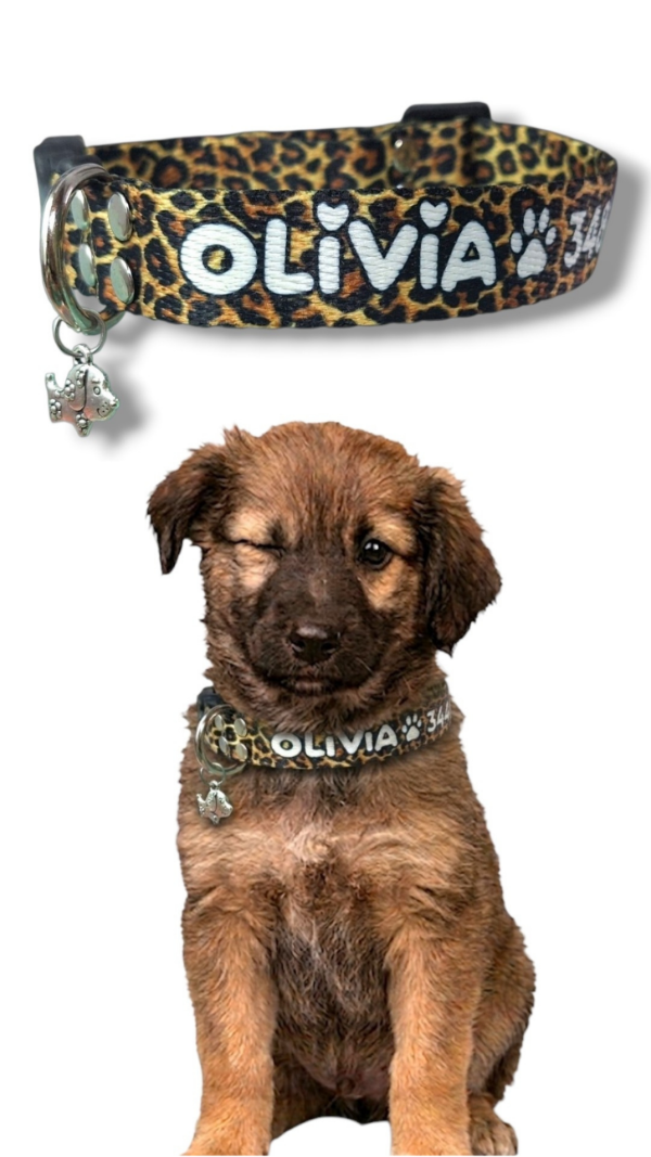 Producto - Collar - 0