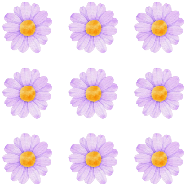Producto - Flores comestibles margaritas lila pack x12un