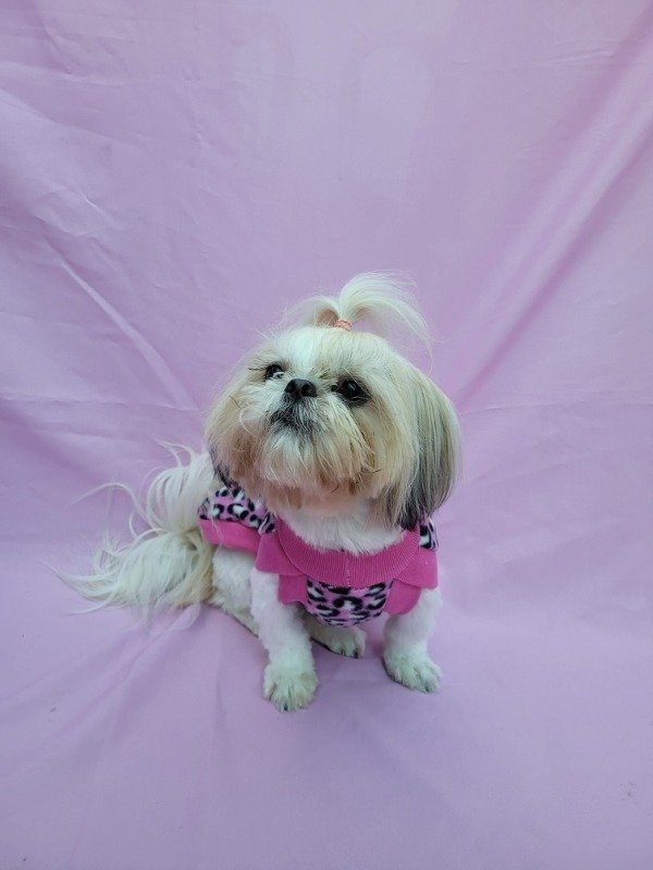 Producto - Chaleco polar LEOPARDO FUCSIA talle 2