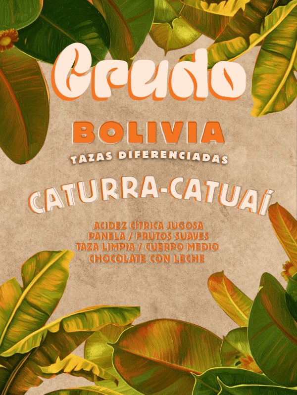 Producto - Bolivia Caturra - Catuai Lavado