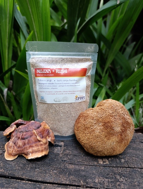 Producto - Melena + Reishi - Blend NeuroZen - polvo 30 gr