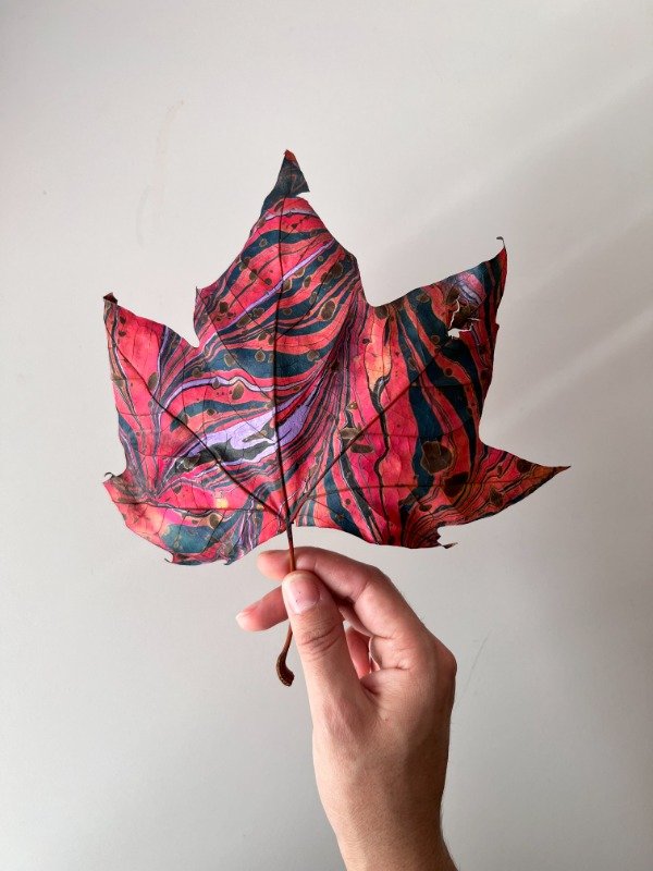 Miniatura de producto - 11