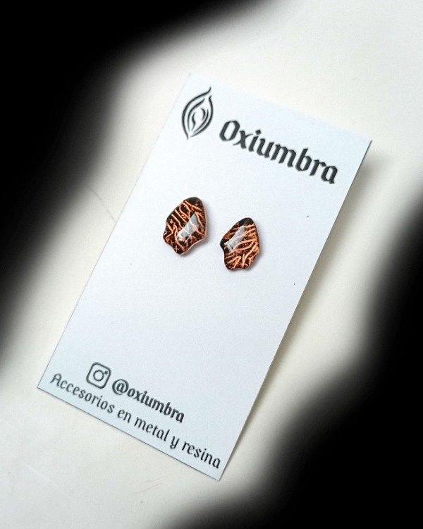 Producto - Aros Orgánicos V (cobre y negro)