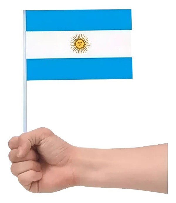 Producto - Banderas Argentinas 15 x 25 cm de mano