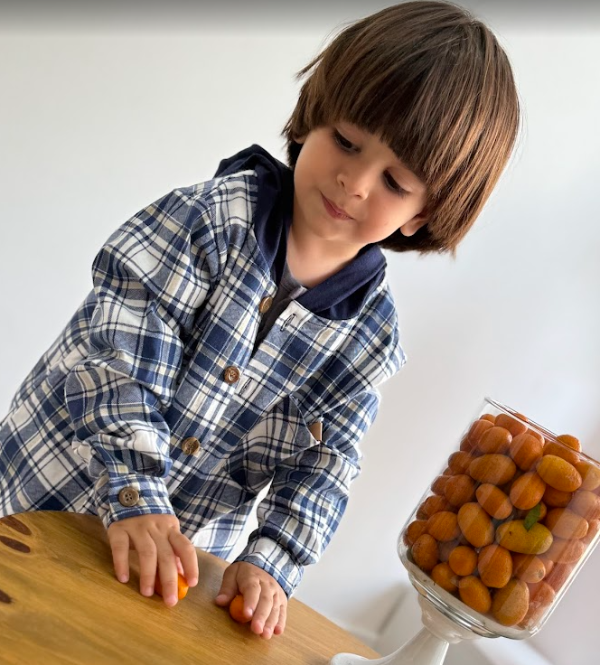 Producto - Camisaco Azul