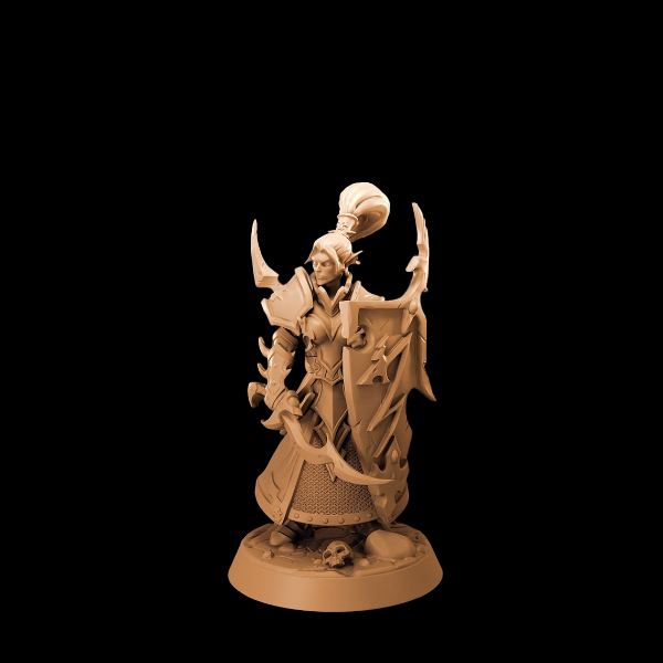 Producto - Elfo Oscuro Guerrero 01