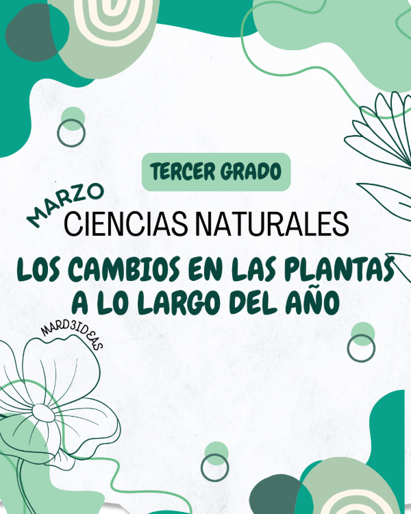 Producto - Los cambios en las plantas a lo largo del año