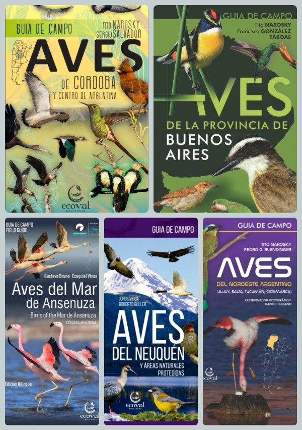 Producto - Guías de Campo: Aves Córdoba + Aves BA + Mar Ansenuza + Aves Neuquén + Aves NOA