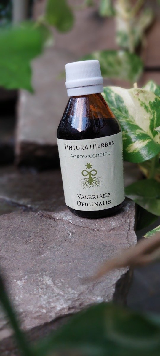 Producto - Valeriana Officinalis
