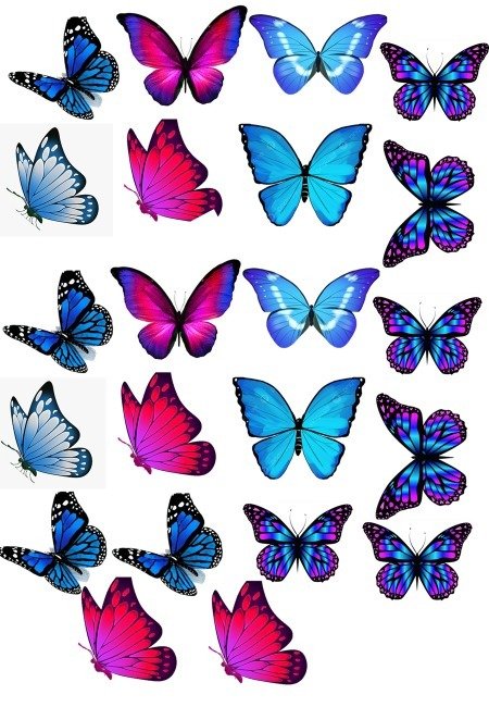 Producto - LAMINA COMESTIBLE MARIPOSAS