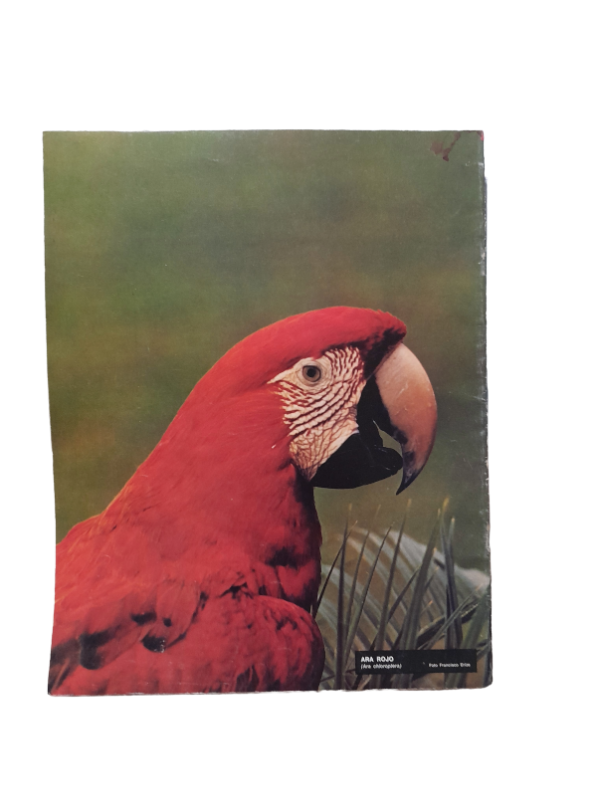 Miniatura de producto - 7