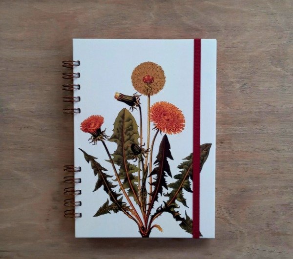 Producto - Agenda Diente De León