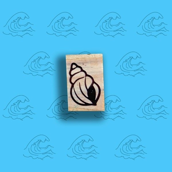 Producto - 3x2 Caracol