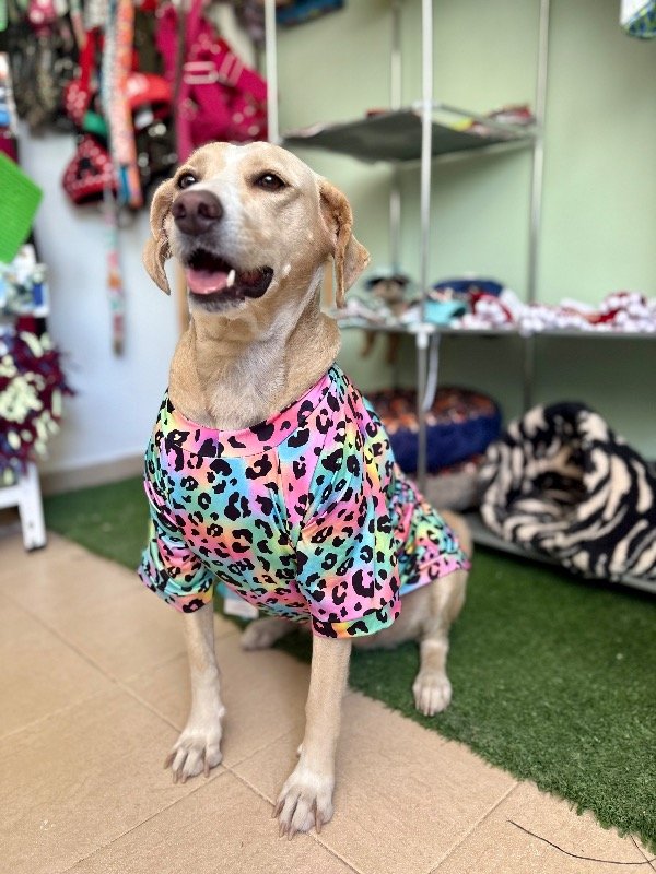 Producto - Remeras con Proteccion UV