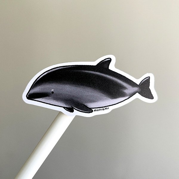 Producto - Sticker vinilo - Fauna marina argentina - Delfín oscuro