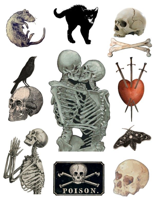 Producto - Esqueletos