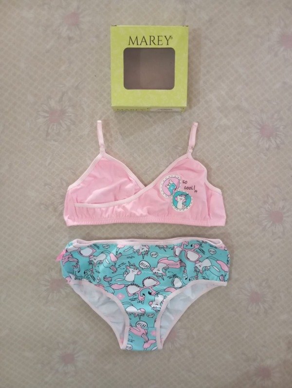 Marey - Art 516 - T 18 - Rosa