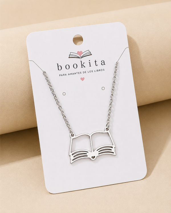 Producto - LIBRO HUECO PLATEADO - 2