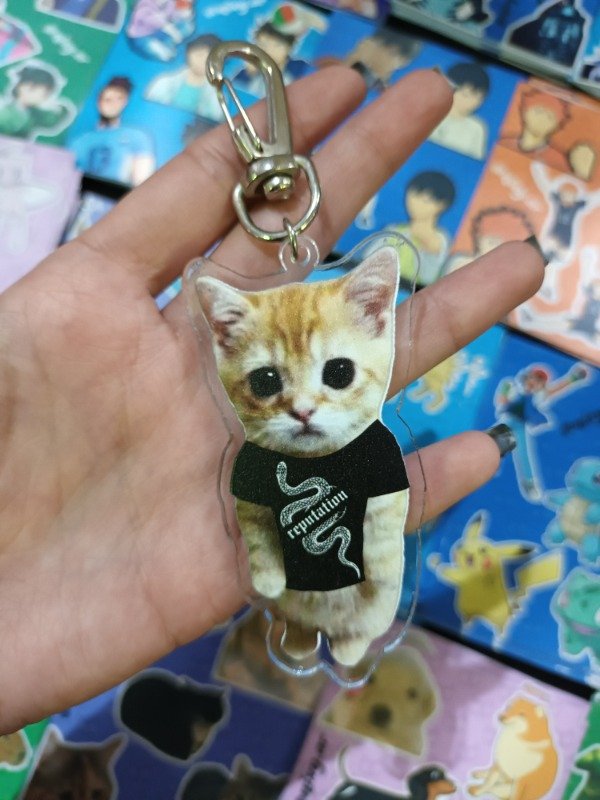 Producto - Llavero Michi Taylor Swift Reputation