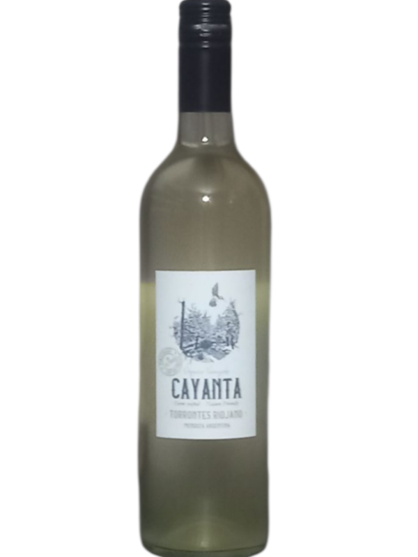 Producto - Cayanta - Torrontes Riojano con pieles 2025 Organico