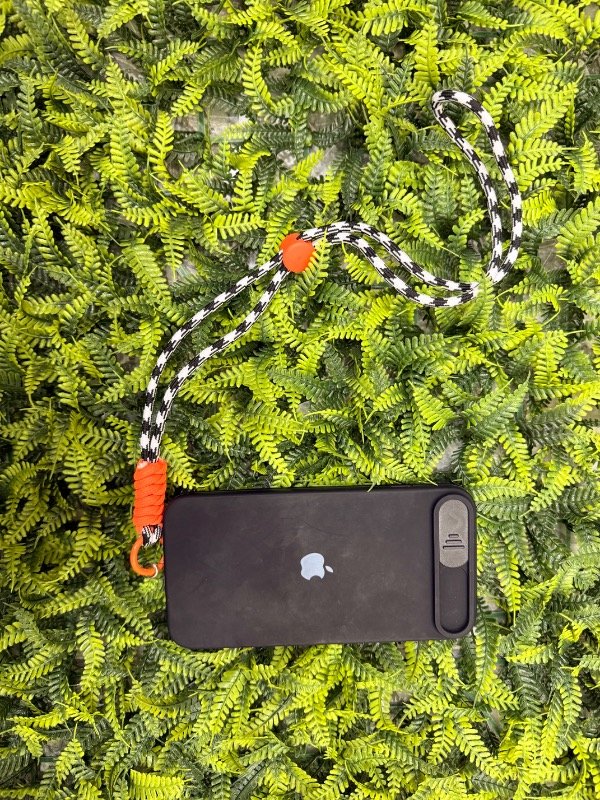 Producto - Correas medianas