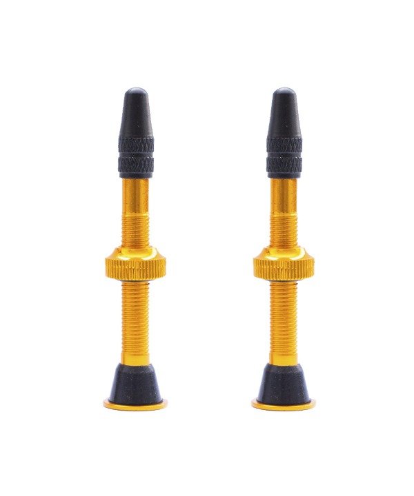 Producto - VALVULAS PICO FINO EL PAR TUBELESS VALVE AMARILLO