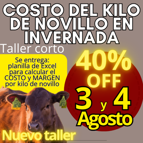 Producto - Taller corto: cálculo del costo del kilo de novillo - 0