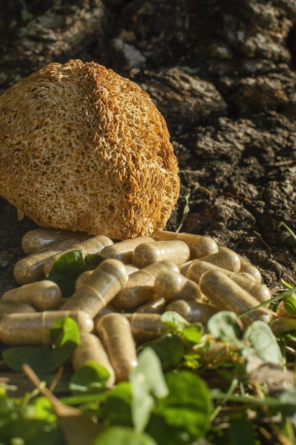 Producto - Cápsulas Melena de león x30