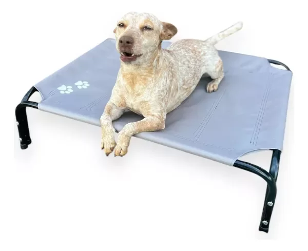 Producto - CATRE PERROS MEDIANO TALLE M