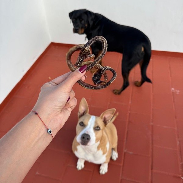 Producto - PRETZELS