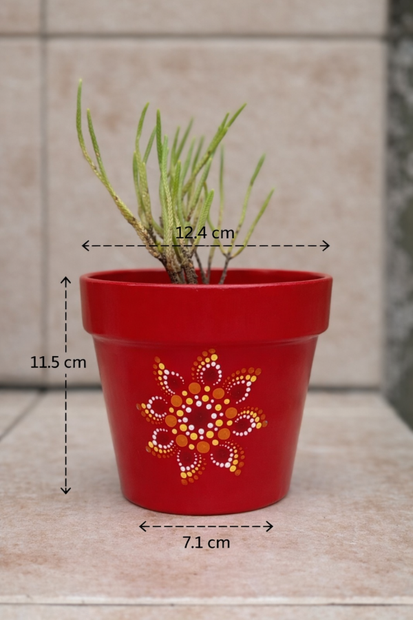 Producto - Maceta Número 12 (Lista para regalar)