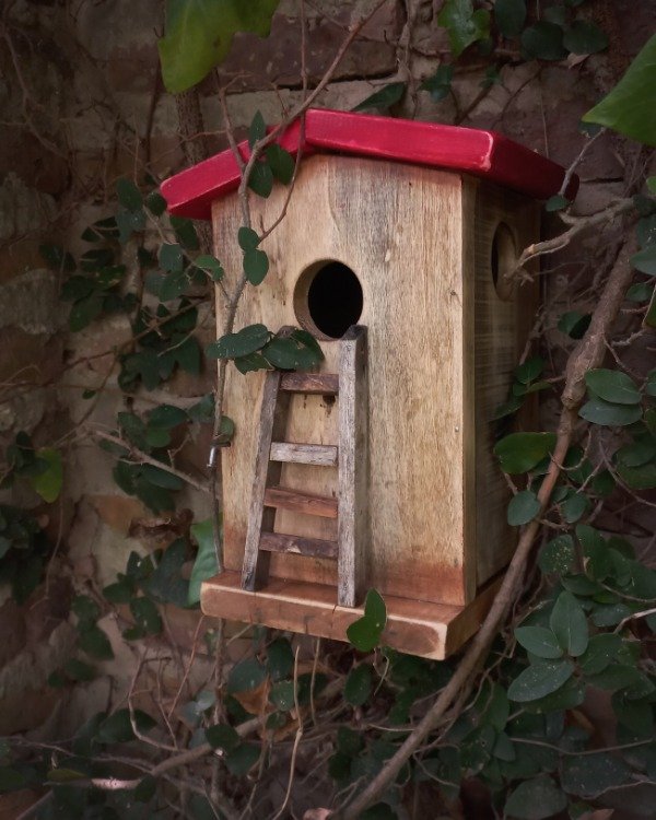 Producto - Casa para pájaros "El Retiro del Bosque" - 2