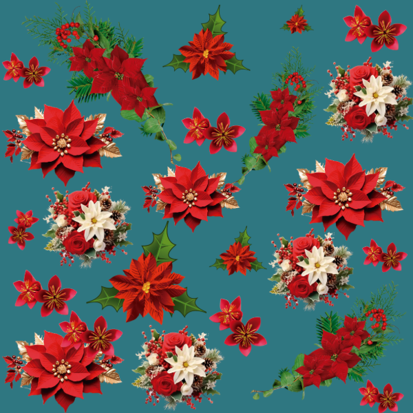 Producto - NAVI - 08