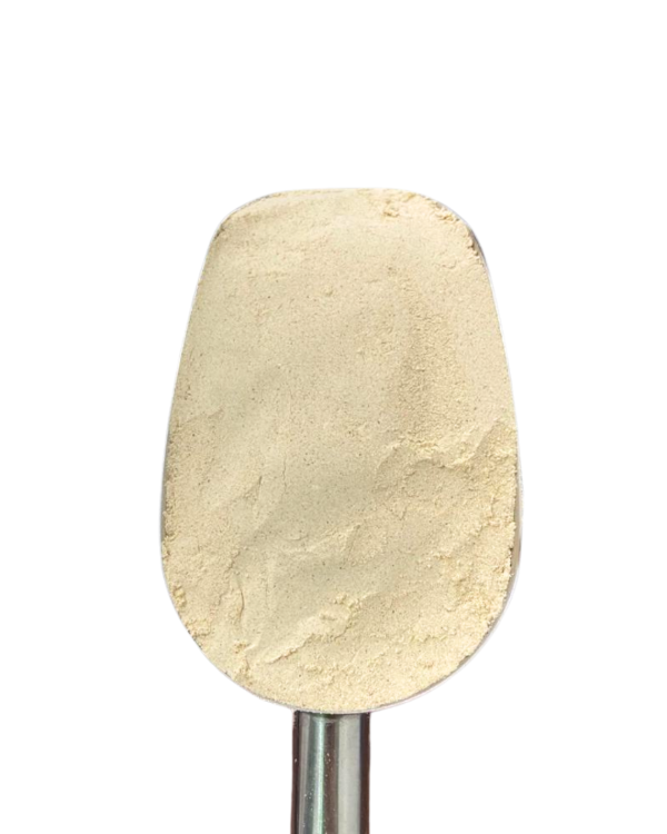 Producto - JENGIBRE MOLIDO 50G