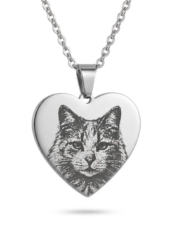 Producto - DIJE CORAZON ACERO QUIRURGICO FOTO GRABADO MASCOTA C/CADENA CAJA - 1
