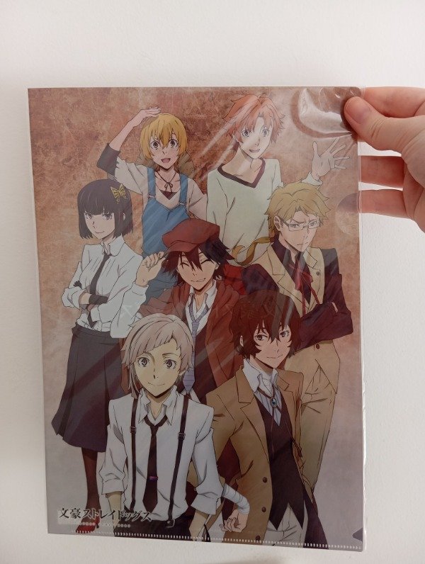 Producto - BSD Agencia Clear File Original - STOCK INMEDIATO