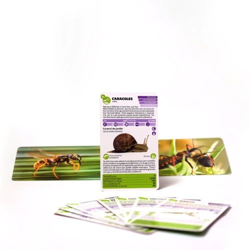 Miniatura de producto - 4