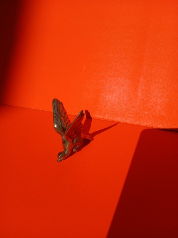 Producto - Ave bronce