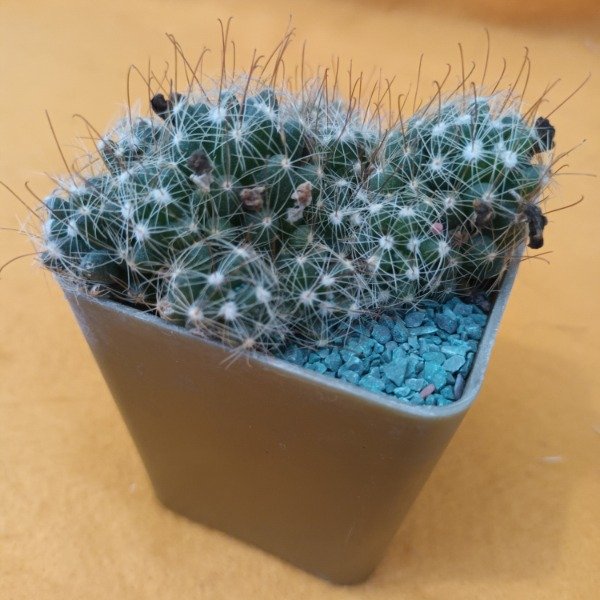 Miniatura de producto - 9